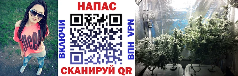 где можно купить наркотик  Благовещенск  Бошки Шишки план 